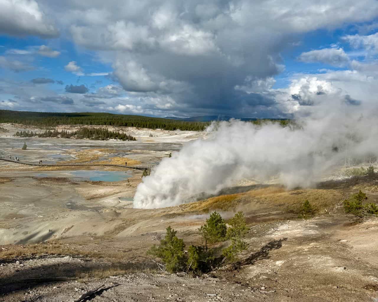 Active geyser erupting with steam and mineral deposits in Yellowstone National Park.