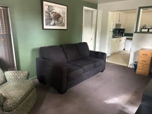 Comfortable black sofa in a cozy living room with green wall and artwork.